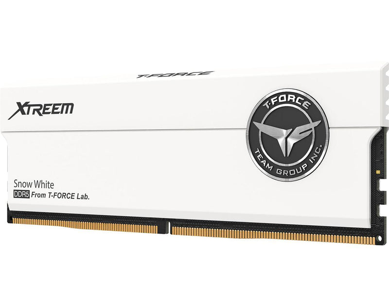 Team Xtreem 32GB (2 x 16GB) 288-Pin PC RAM DDR5 8000 (PC5 64000) Desktop Memory