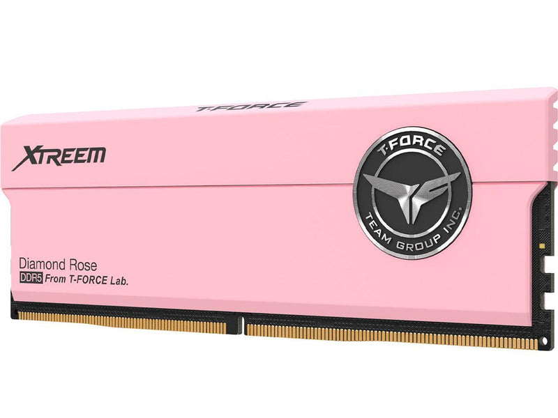 Team Xtreem 48GB (2 x 24GB) 288-Pin PC RAM DDR5 7600 (PC5 60800) Desktop Memory