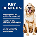 Hill's Science Diet Adult Perfect Weight Dry Dog Food - 33 lb - Brand New
