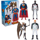 DC Comics Characters 12-Inch Action Figure Set, Toys for Kids 4+ - 6073753 - Like New