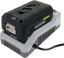 Snow Joe + Sun Joe EcoSharp Pro Lithium-Ion Battery 40 Volt 5.0 Ah - iBAT40XR-RM - Like New