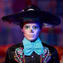 BARBIE SIGNATURE DOLL 2024 DÍA DE MUERTOS KEN COLLECTIBLE BY MEXICAN ARTIST - Like New