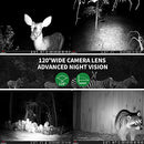 WOSPORTS TRAIL CAMERA 48MP 4K 0.2S TRIGGER MOTION ACTIVATED GAME HUNTING CAMERA New