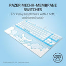 RAZER ORNATA V3 TKL Gaming Keyboard, Low-Profile Keys RZ03-04882200-R3M1 - Like New