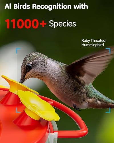 VISTAFLEDGE 2K HUMMINGBIRD FEEDER CAMERA OUTDOOR - AI IDENTIFY - RED ...