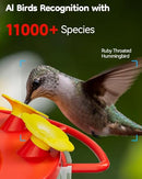 VISTAFLEDGE 2K HUMMINGBIRD FEEDER CAMERA OUTDOOR - AI IDENTIFY - RED - Like New