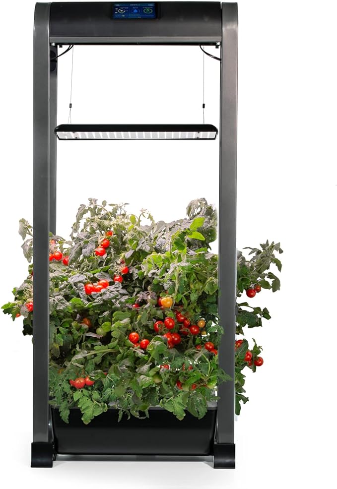 AeroGarden Farm 12XL - Gray/Black - Scratch & Dent