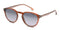 CARRERA 277/S STYLISH SUNGLASSES FRAME A SNAZZY 50MM - 009Q 9O BROWN/GRAY SHADED - Like New