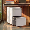 DEVAISE 2 Drawer Mobile File Cabinet with Lock Commercial Metal Filing Drawer - Like New