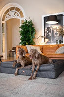 NOAH & PAW GIANT DOG BEDDING SUPPLIES SO-LE-BLK-2XL.BLACK CURLED SOFA - BLACK - Like New