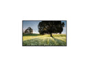 LG UH5F Series 65UH5F-H Black 65" 8ms 3840 x 2160 (4K) 1.07 Billion Colors