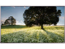 LG UH5F Series 75UH5F-H Black 75" 6ms 3840 x 2160 (4K) 1.07 Billion Colors