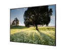 LG UH5F Series 75UH5F-H Black 75" 6ms 3840 x 2160 (4K) 1.07 Billion Colors