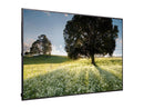 LG UH5F Series 75UH5F-H Black 75" 6ms 3840 x 2160 (4K) 1.07 Billion Colors