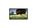 LG 55TC3CG-H Black 55" 8ms (GTG) 3840 x 2160 (4K) 1.07 Billion Colors Display