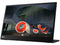 Lenovo ThinkVision M14 14" Full HD 1920x1080 IPS Monitor - 300 Nit 6ms 2xUSB