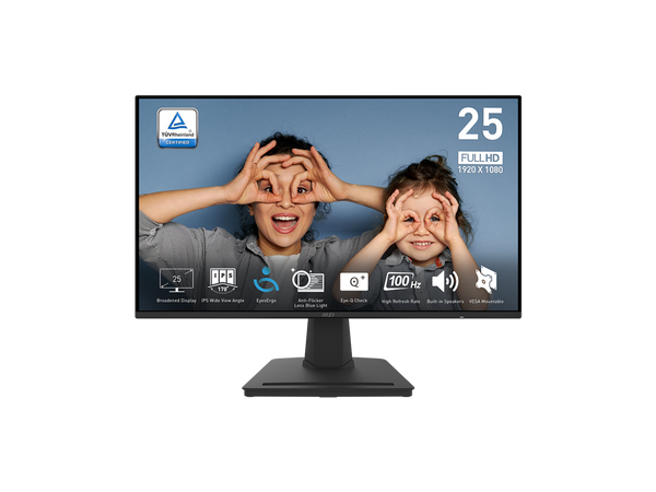 MSI PRO MP252, 24.5-inch IPS 1920 x 1080 (FHD) Computer Monitor, 100Hz,