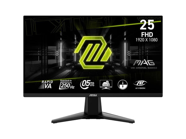 MSI 25" 250 Hz Rapid VA FHD Gaming Monitor MAG255XFV