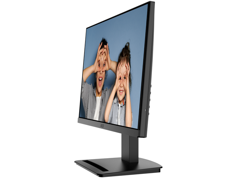 MSI 22" 100 Hz VA FHD Monitor 4 ms Adaptive-Sync sRGB 99% Flat Panel Pro MP223