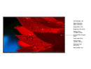 NEC Display Solutions MA551 55" Wide Color Gamut Ultra High Definition