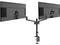 MSI PRO MT81D - Premium Aluminum Dual Monitor Stand Arms, Supports 17-32" & 17.6