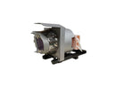 BTI Projector Lamp