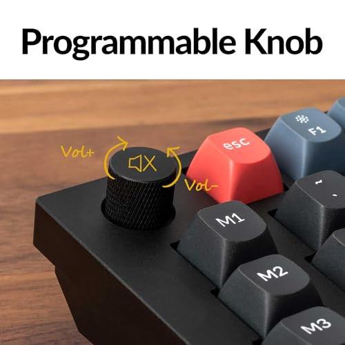 Keychron Q10 Wired Custom Mechanical Keyboard Knob Version - Gateron G Pro Blue - Like New