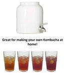 Kombucha Crock 2.6 Gallon Humble House Sauerkrock Tap Stainless Steel Spigot - Brand New