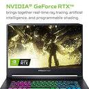 ACER PREDATOR TRITON 500 15.6" FHD i7-8750H 16GB 512GB RTX 2080 - BLACK - Like New