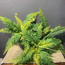 Artificial Boston Fern Bush Fake Persian Ferns Leaves Greenery Large B0B1MD3647 - Brand New