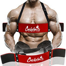 CELEBRITA Arm Blaster for Biceps & Triceps, Bicep Curl Support Isolator - Brand New