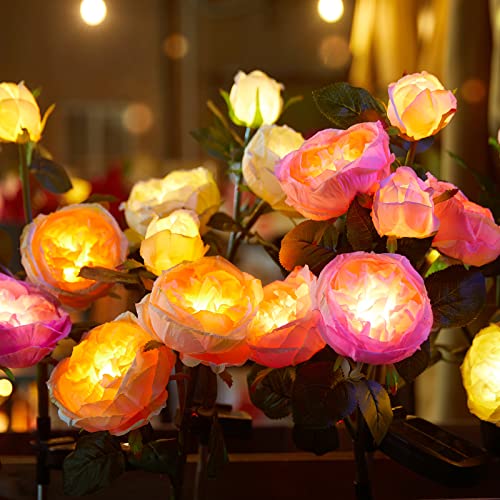 Brightown Solar Garden Lights - 4 Pack Solar Flowers Lights with Larger - Like New
