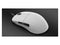 Endgame Gear XM2 8k Gaming Mouse - White XM2w 8k White 6 Buttons USB Wired