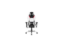 AKRacing Masters Series Premium Gaming Chair, 4D Adjustable Armrests, 180
