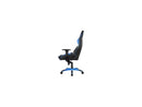 AKRacing Masters Series Pro Gaming Chair, 4D Adjustable Armrests, 180 Degrees