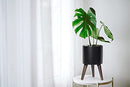 D'vine Dev 8 Inch Planter Pot with Wood Stand, Black, 88-O-A-2 - Brand New