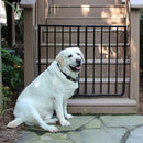 Cardinal Gates SS30OD Stairway Special Outdoor Baby Pet Gate - Black - Brand New