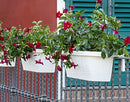 APOLLO EXPORTS INTERNATIONAL AP-30312 23.5" ADJUSTABLE RAILING PLANTER - WHITE - Brand New
