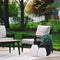 BOTARO TRESIL Set of 2 - Pre-Potted 24" High Ball Shaped Boxwood Topiary- 16" - Like New
