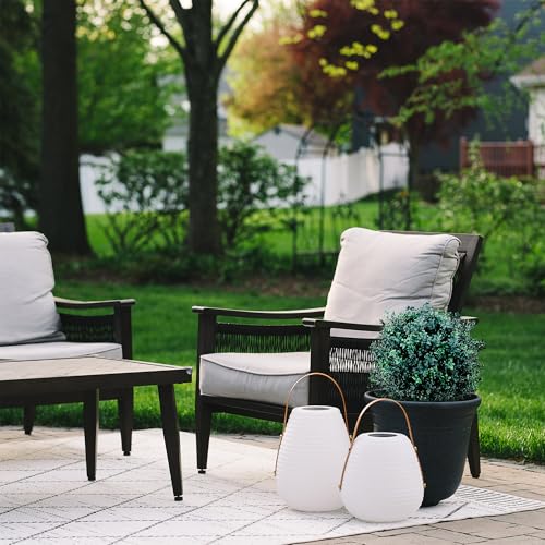 BOTARO TRESIL Set of 2 - Pre-Potted 24" High Ball Shaped Boxwood Topiary- 16" - Like New