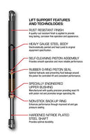 Strongarm 4101 Trunk Lid Lift Support, Pack of 1, black - Brand New