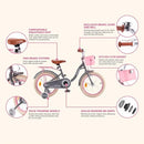 ROYALBABY KIDS BIKE 14INCH CHILDREN BICYCLE WITH BASKET AMIGO/GRAY - Brand New