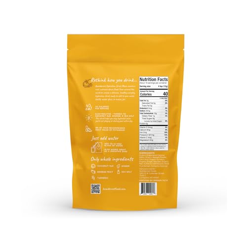 BUMBLEROOT ORGANIC ELECTROLYTE POWDER PLANT BASED HYDRATION TURMERIC GINGER 8 OZ - Brand New