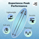 5th Element Stealth 2 Ski Poles Designed Skiing Downhill Mountain 110cm - Silver - Brand New