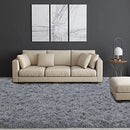 HOMBYS Soft Area Rug for Living Room 8x10 Feet Fluffy 2.4" Plush - Light Grey - Brand New