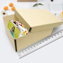Lineco Archival Photo Card Box, Museum-Quality, 5x8x12 Inch, Tan, 2 Pack - Brand New
