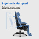 XCGAME Gaming Chairs Office Desk Chair with Lumbar Support - Black - Brand New