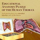 Human Thorax Anatomy Puzzle - Adult Jigsaw Puzzles Unique Gifts for Kids - Brand New