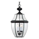 Quoizel Newbury 21" Outdoor Hanging Lantern, Mystic Black - Brand New