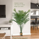 SOFTFLAME 5FT ARECA PALM ARTIFICIAL TREE REAL TOUCH 850169 GREEN/BLACK - Like New